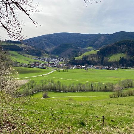 Schwarzwaldglueck Apartment Oberried  Eksteriør billede