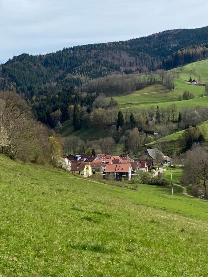 Schwarzwaldglueck Apartment Oberried  Eksteriør billede
